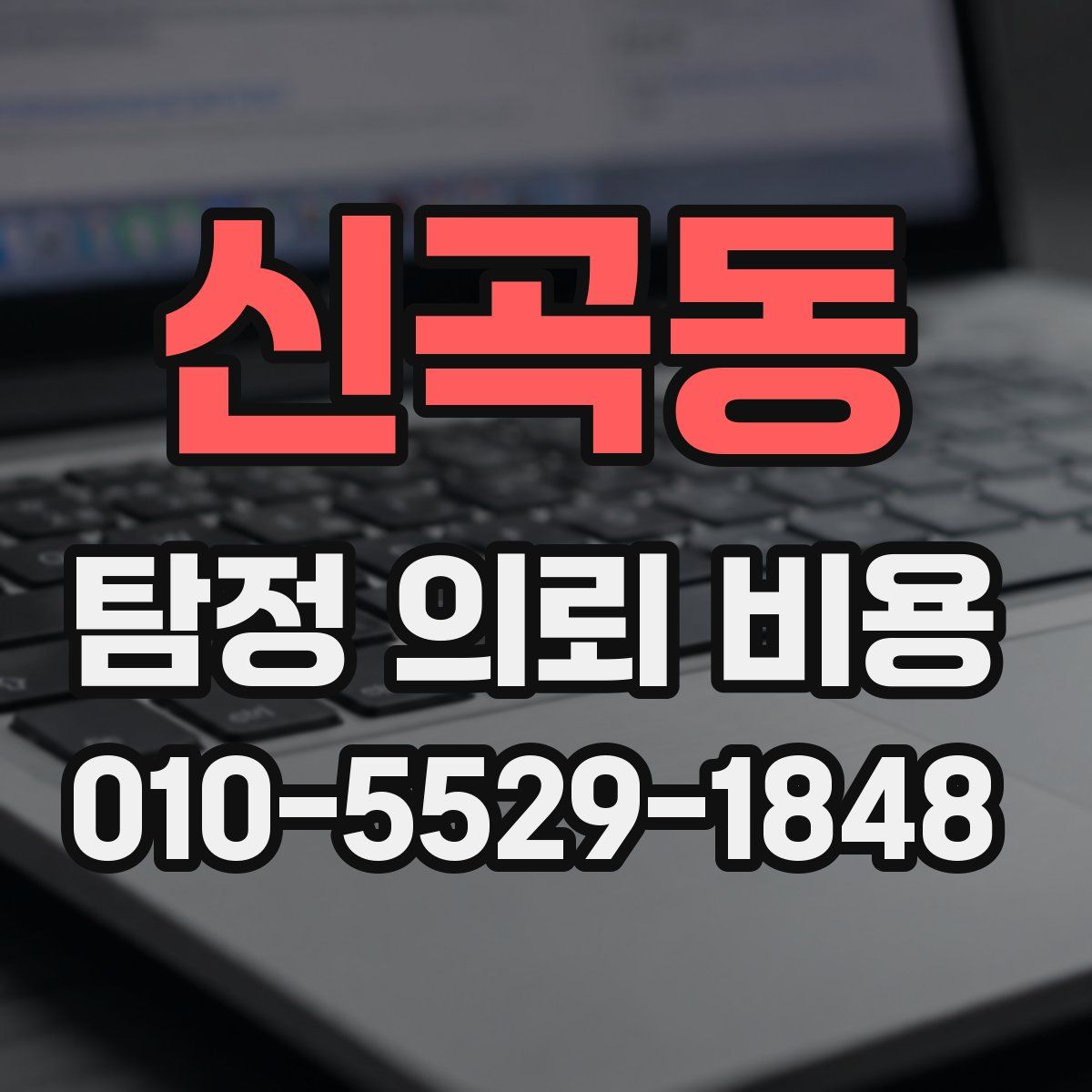 신곡동 탐정 의뢰 비용