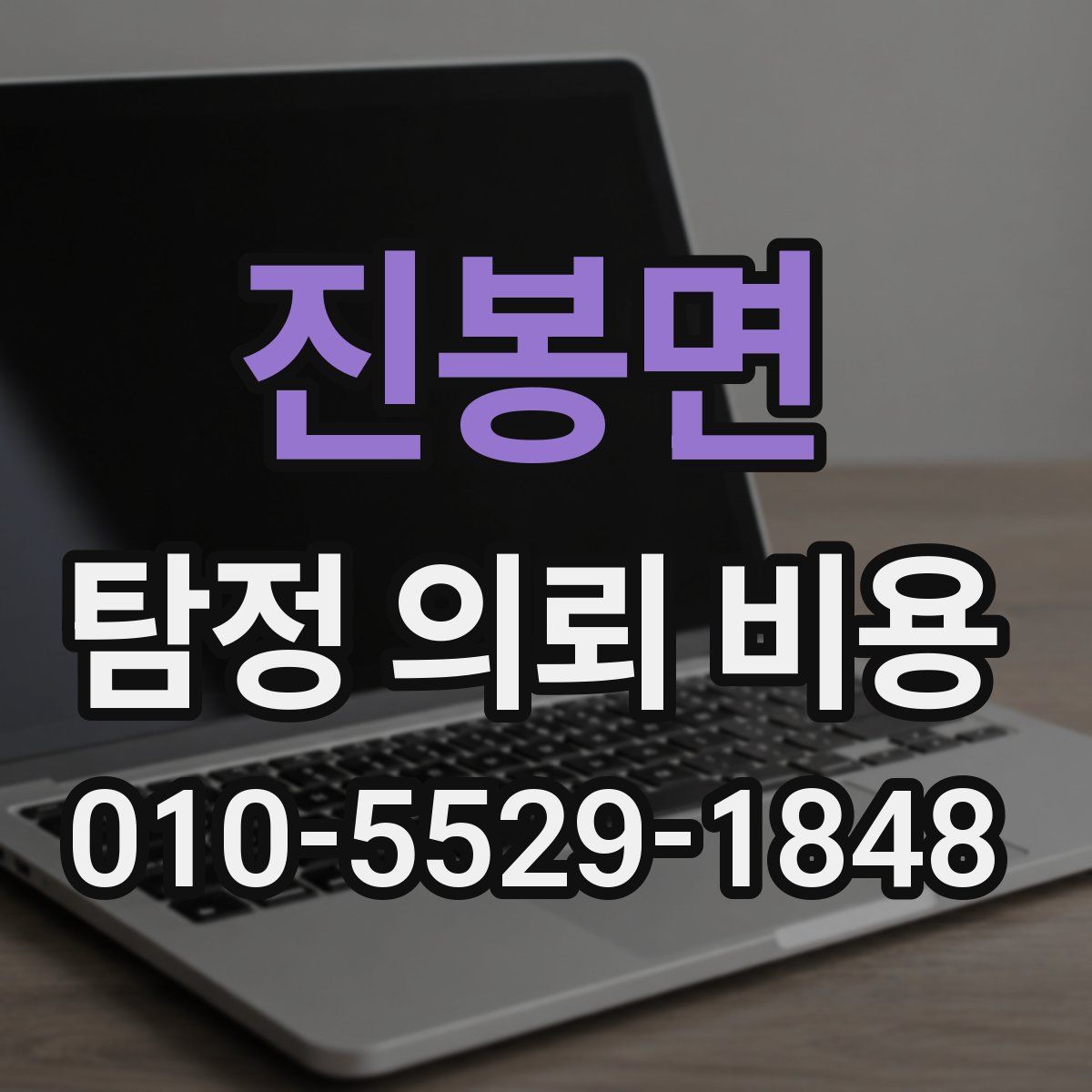 진봉면 탐정 의뢰 비용