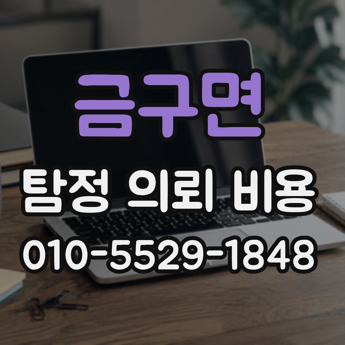 금구면 탐정 의뢰 비용