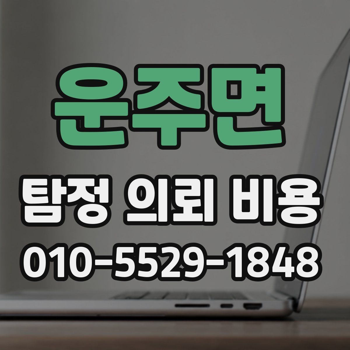 운주면 탐정 의뢰 비용