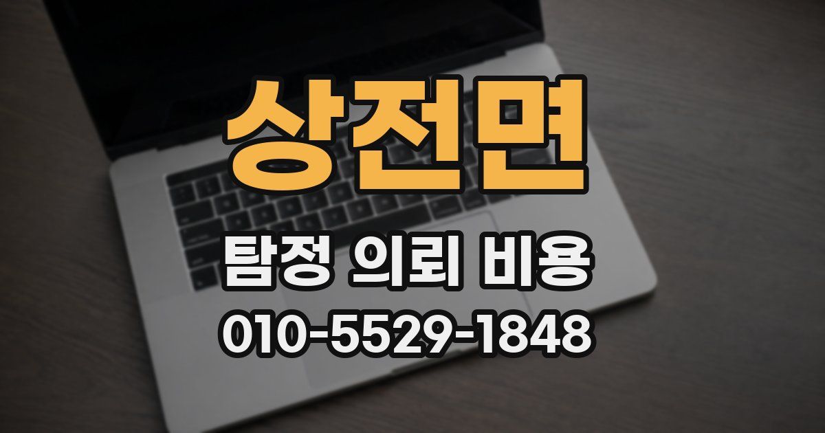 상전면 탐정 의뢰 비용