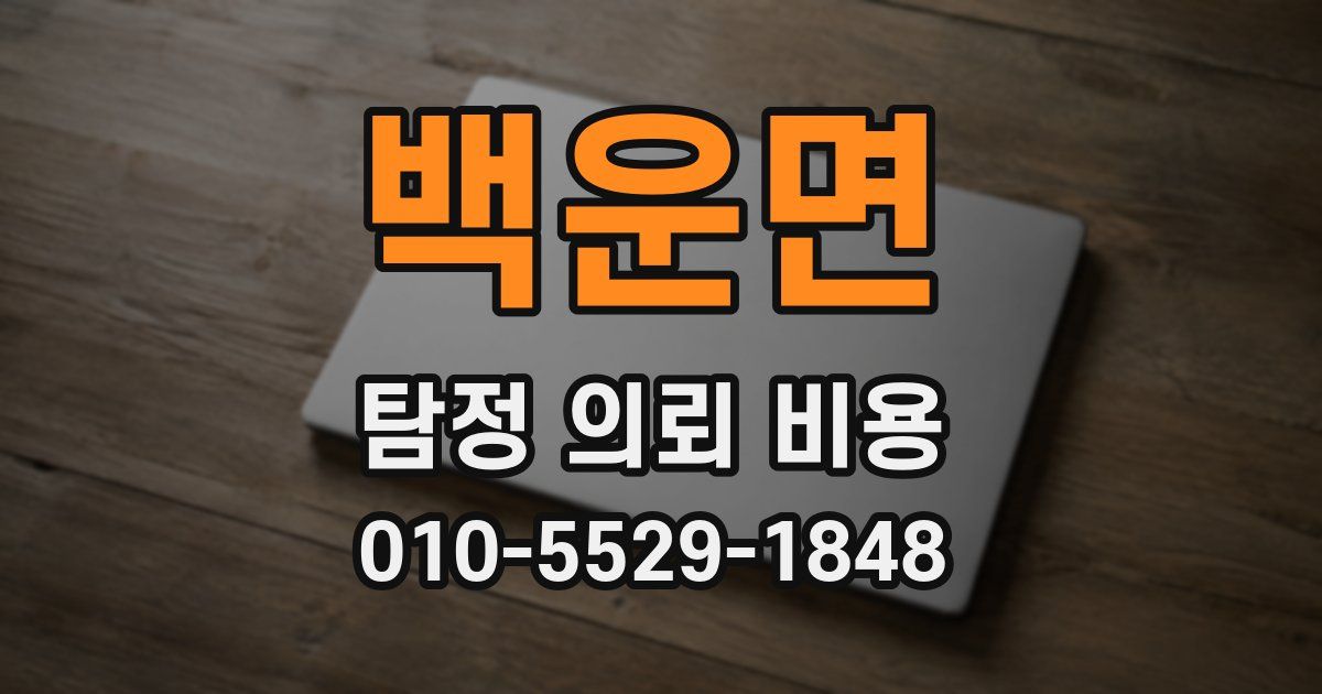 백운면 탐정 의뢰 비용