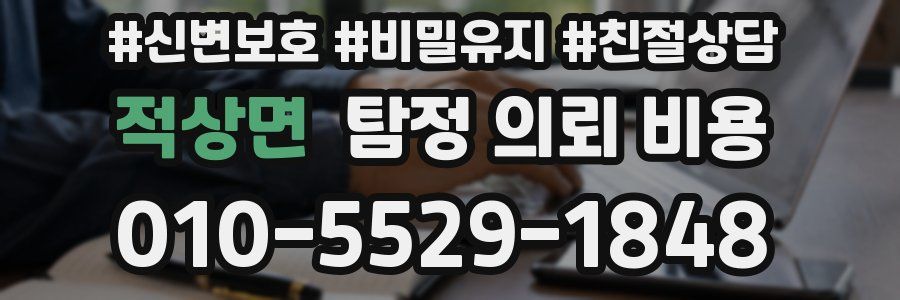 적상면 탐정 의뢰 비용