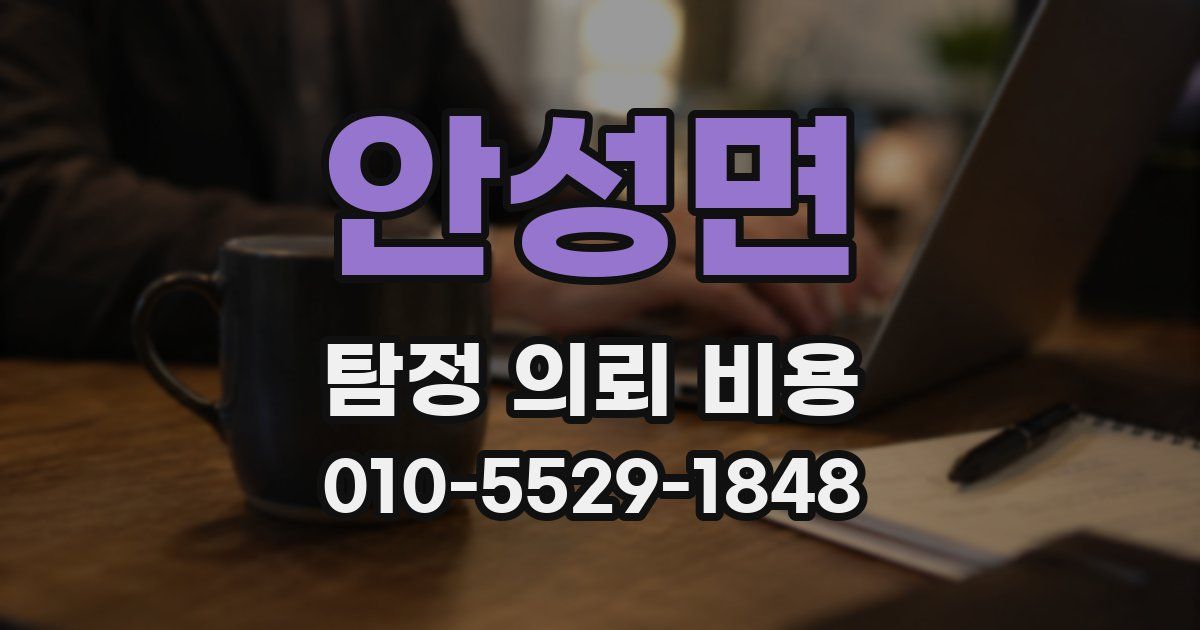 안성면 탐정 의뢰 비용
