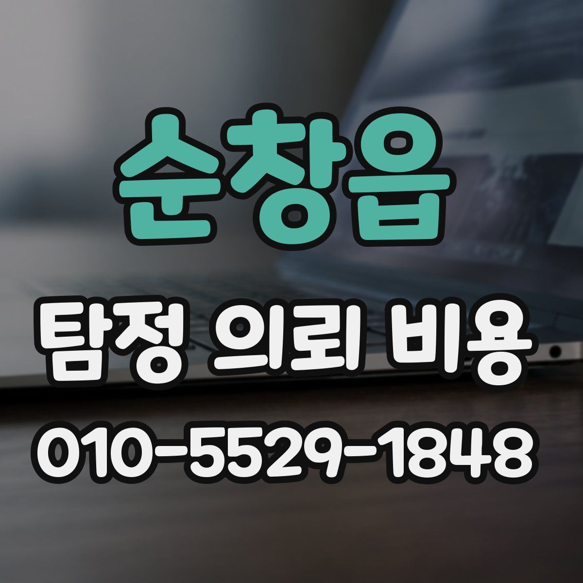 순창읍 탐정 의뢰 비용