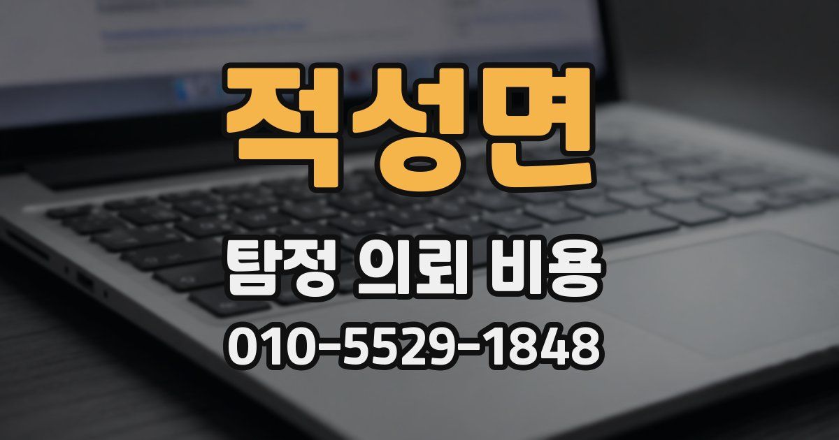 적성면 탐정 의뢰 비용