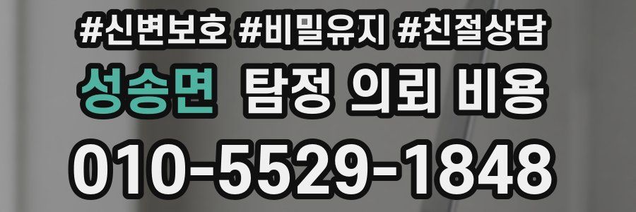 성송면 탐정 의뢰 비용