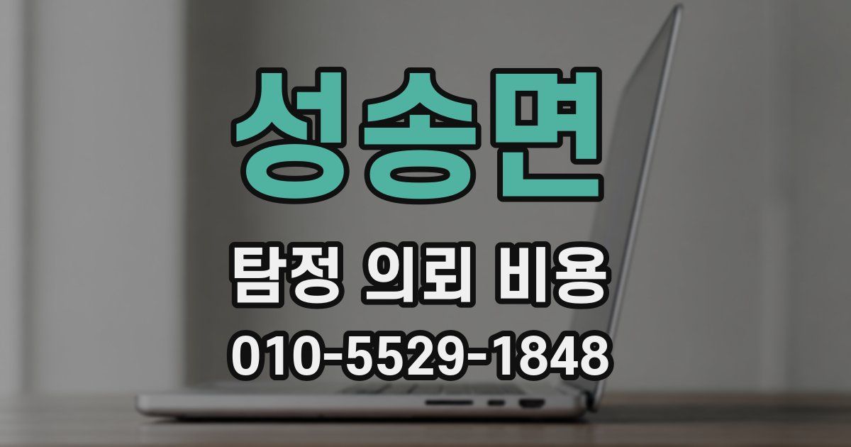 성송면 탐정 의뢰 비용