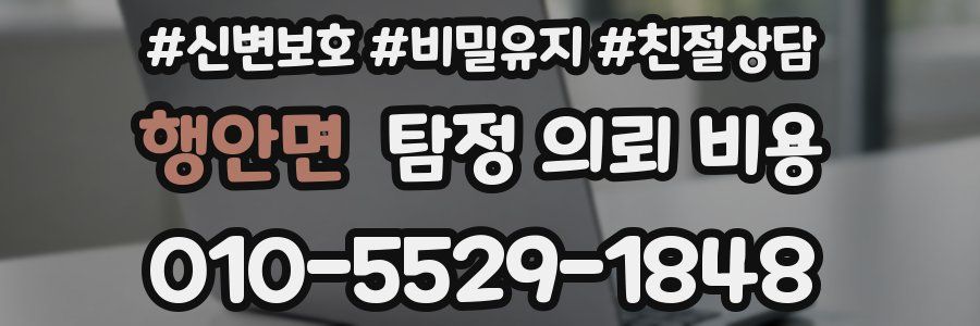 행안면 탐정 의뢰 비용