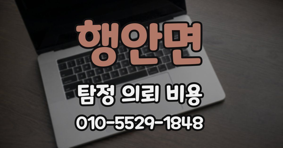 행안면 탐정 의뢰 비용
