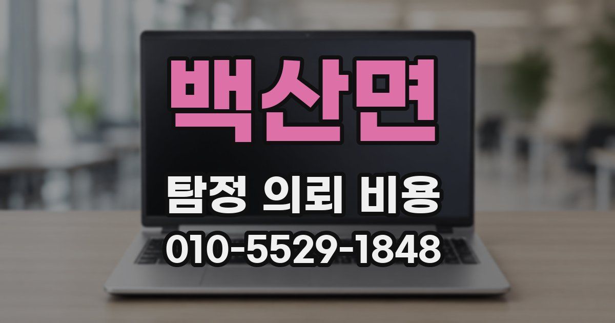 백산면 탐정 의뢰 비용