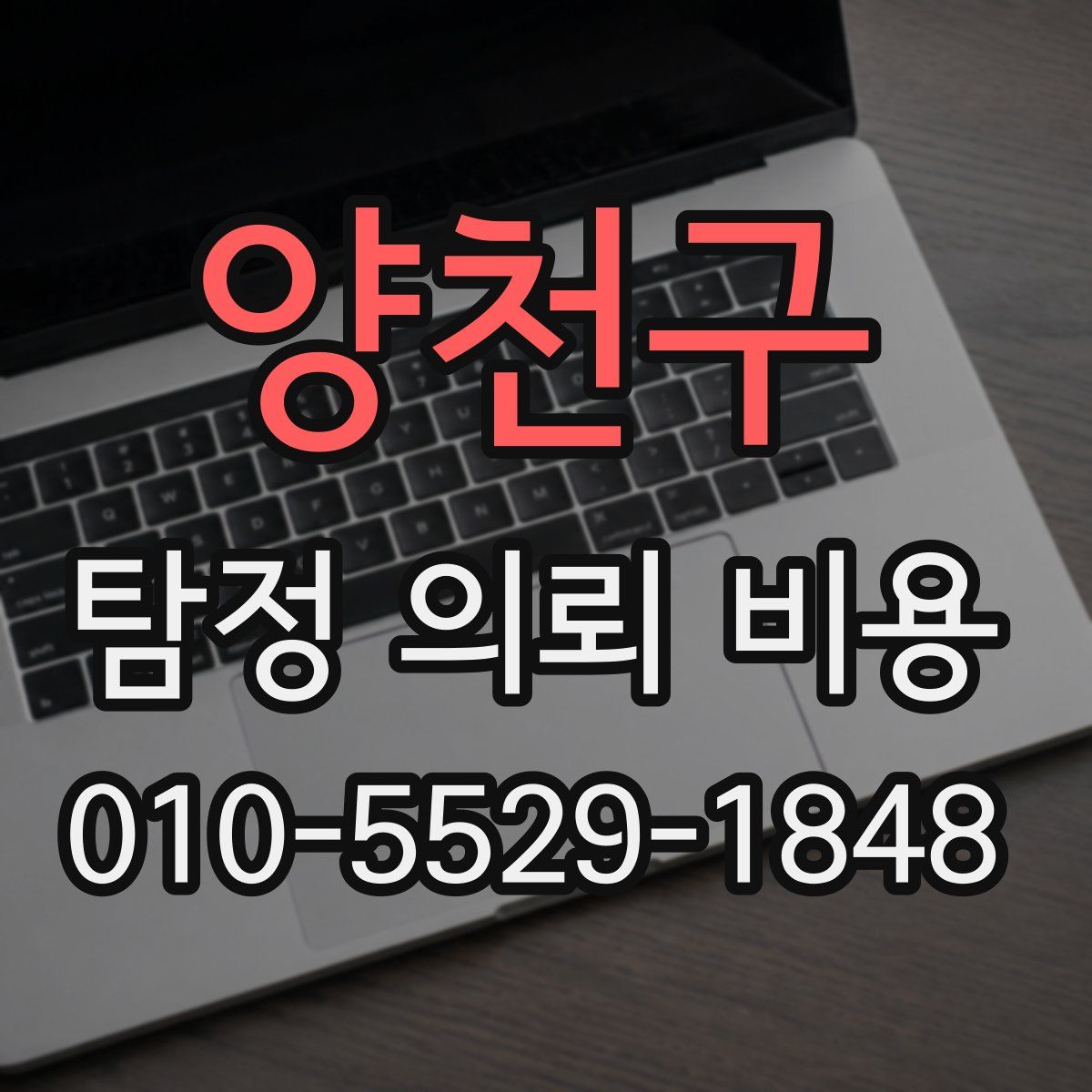 양천구 탐정 의뢰 비용