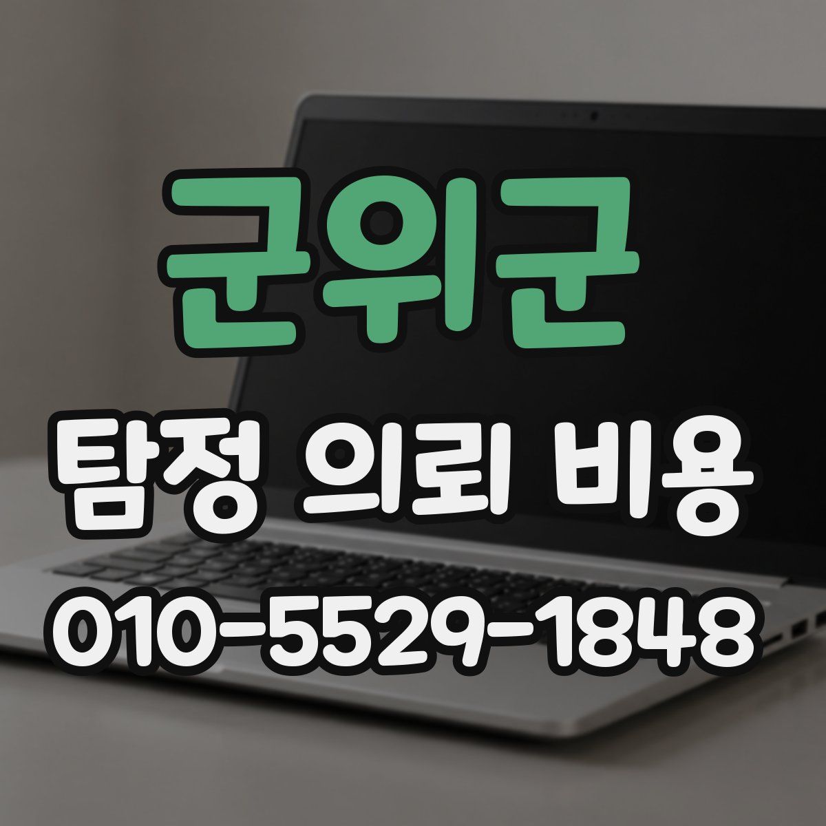 군위군 탐정 의뢰 비용