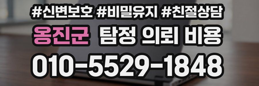 옹진군 탐정 의뢰 비용