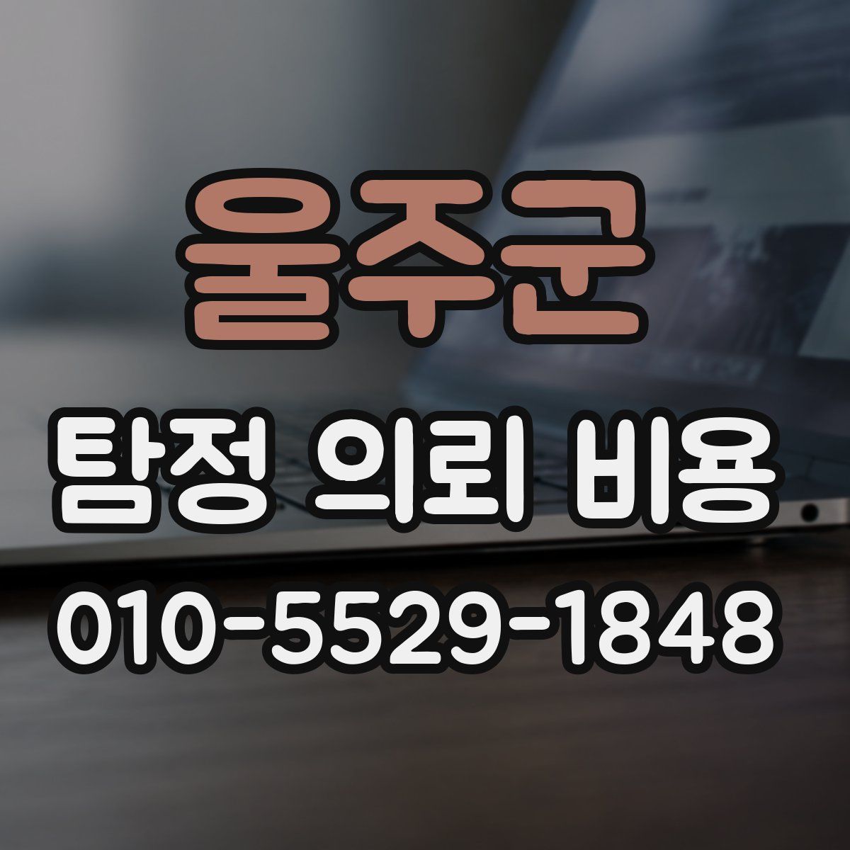 울주군 탐정 의뢰 비용