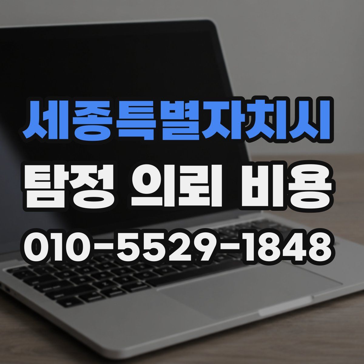 세종특별자치시 탐정 의뢰 비용