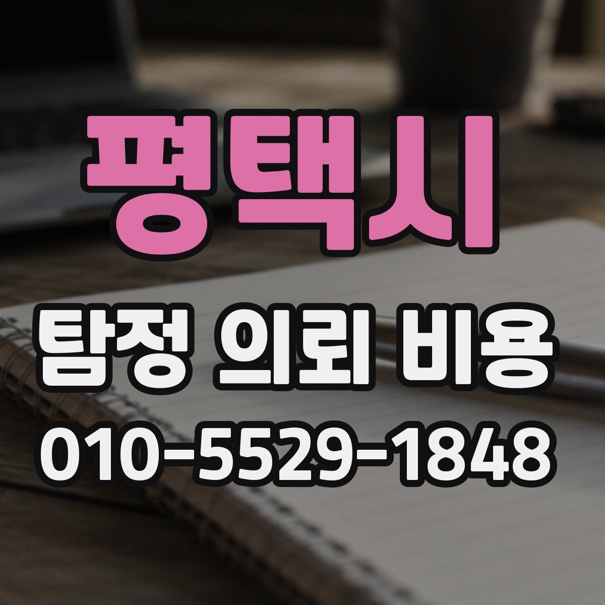 평택시 탐정 의뢰 비용