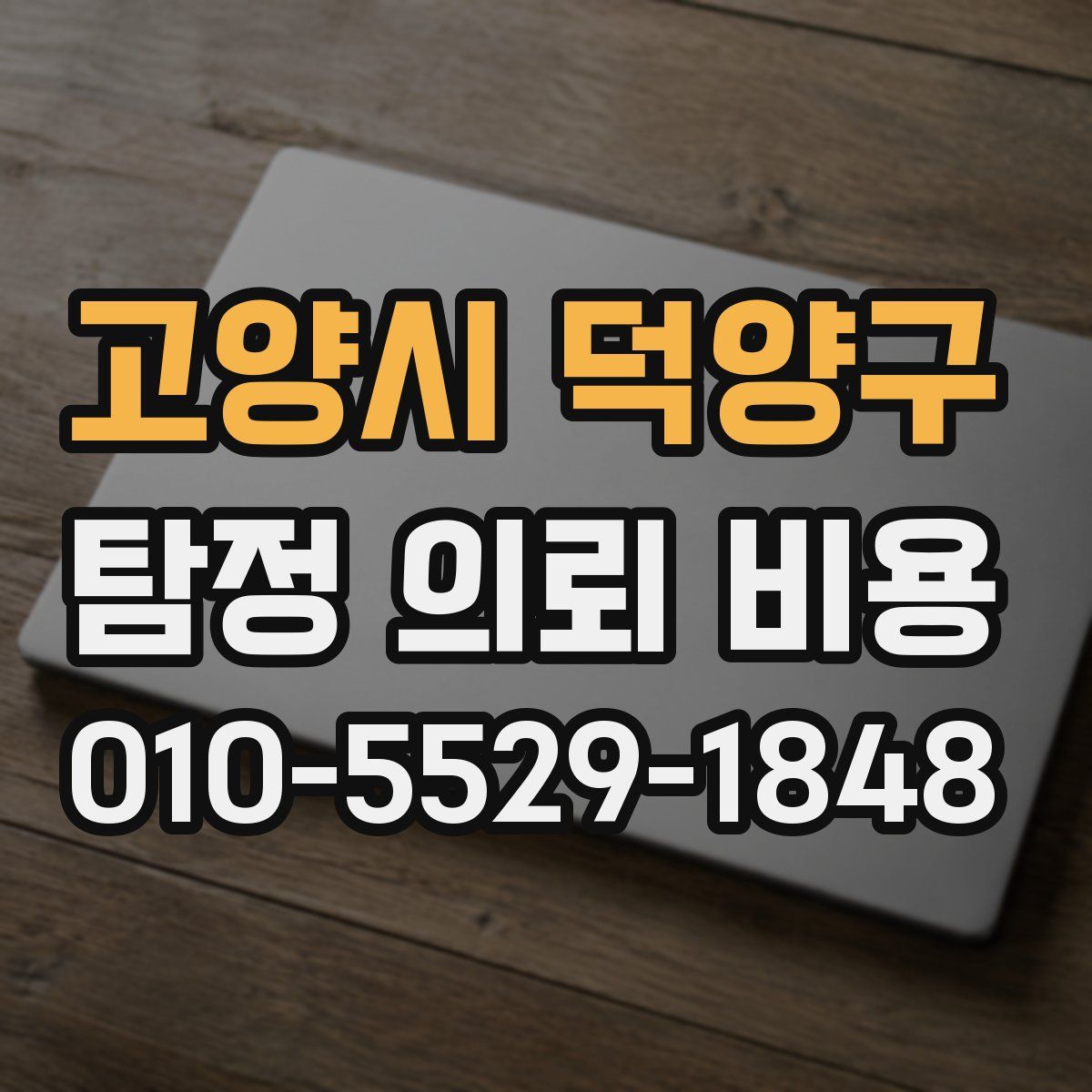 고양시 덕양구 탐정 의뢰 비용