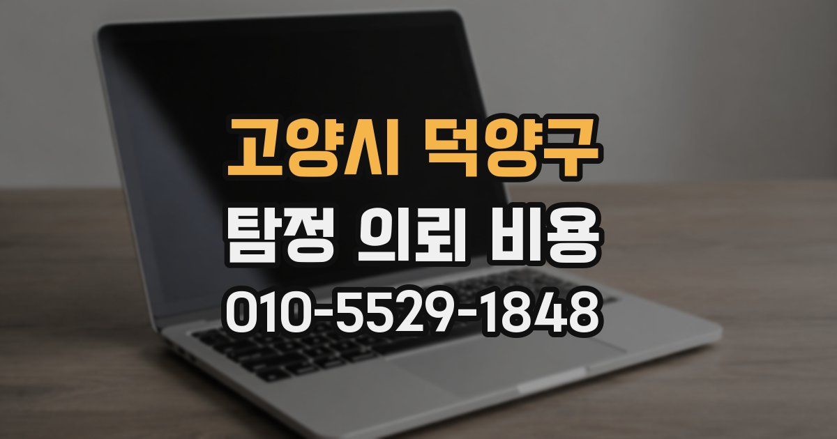고양시 덕양구 탐정 의뢰 비용