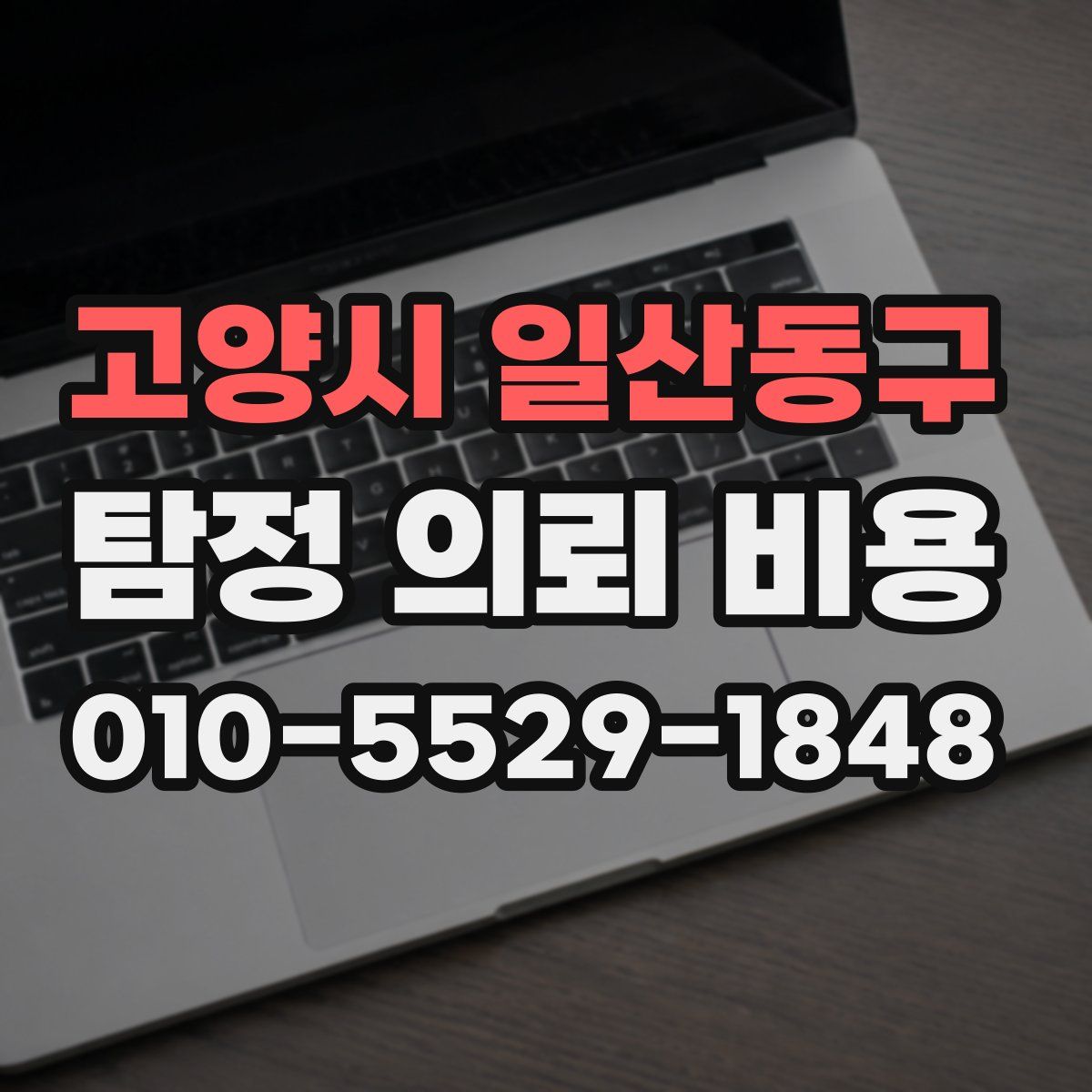 고양시 일산동구 탐정 의뢰 비용