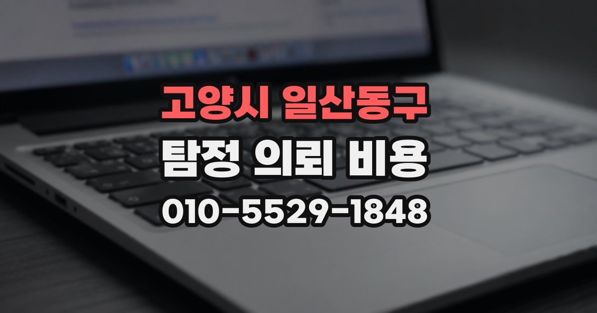 고양시 일산동구 탐정 의뢰 비용
