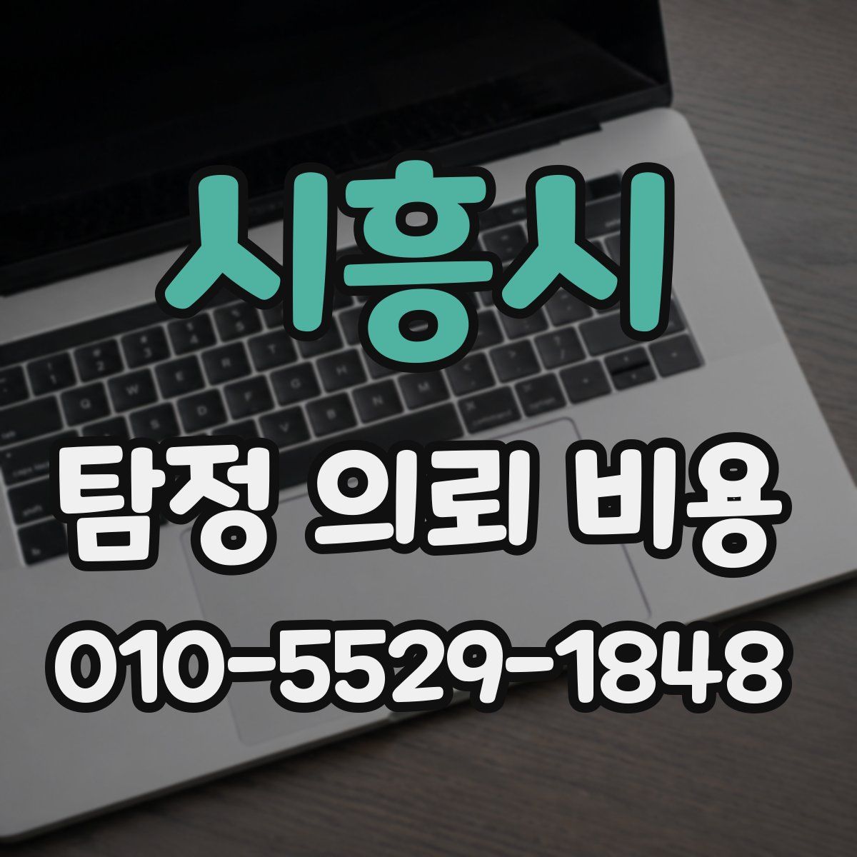 시흥시 탐정 의뢰 비용