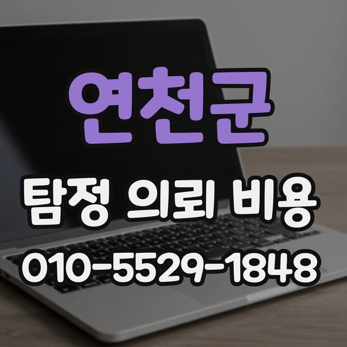 연천군 탐정 의뢰 비용
