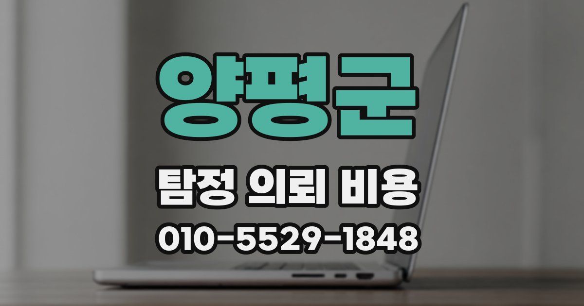 양평군 탐정 의뢰 비용