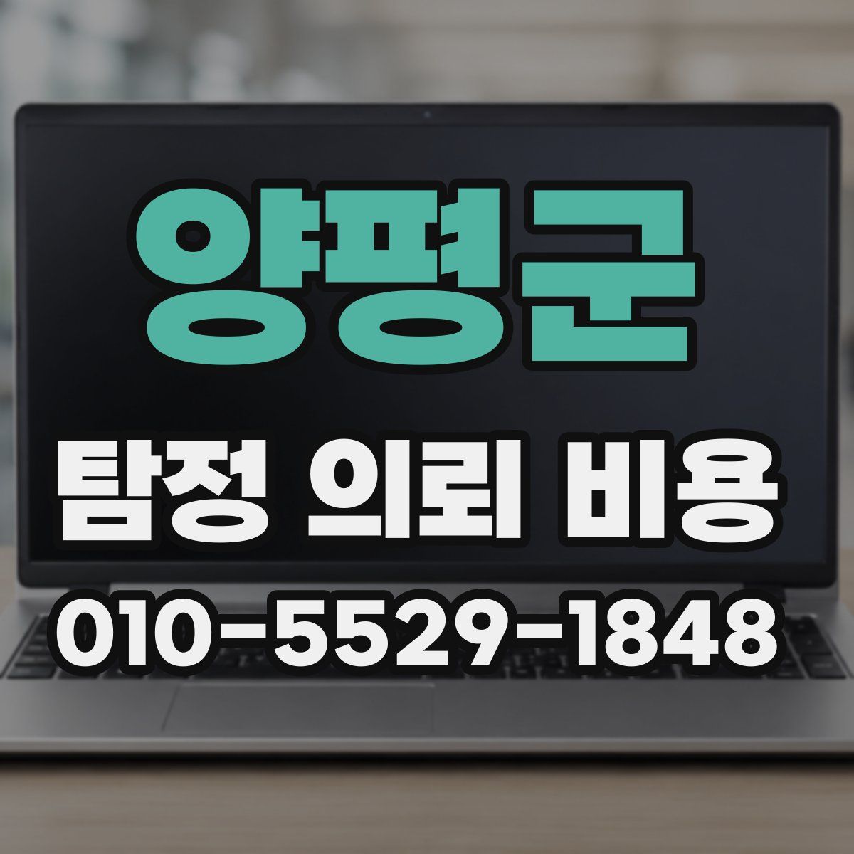 양평군 탐정 의뢰 비용