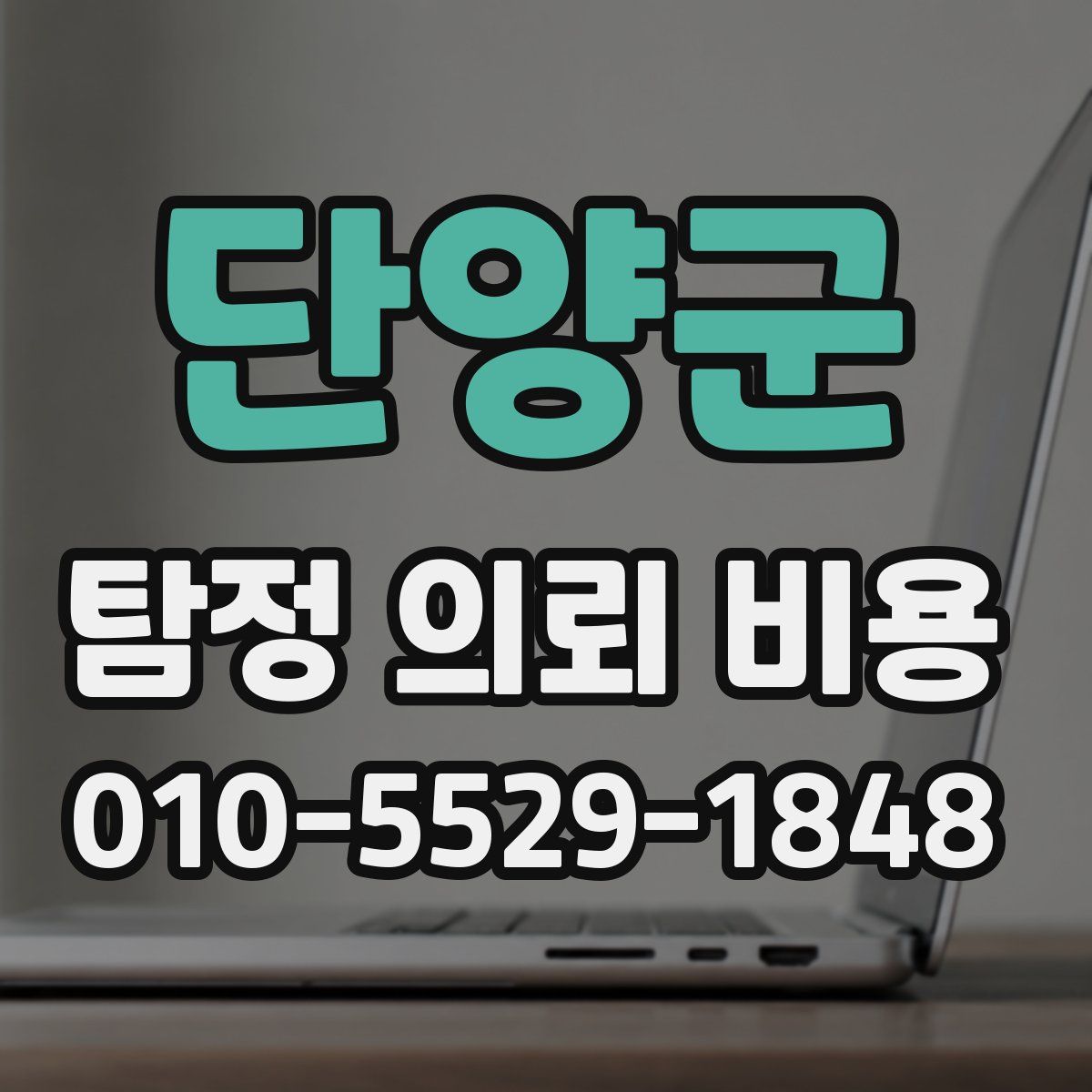 단양군 탐정 의뢰 비용