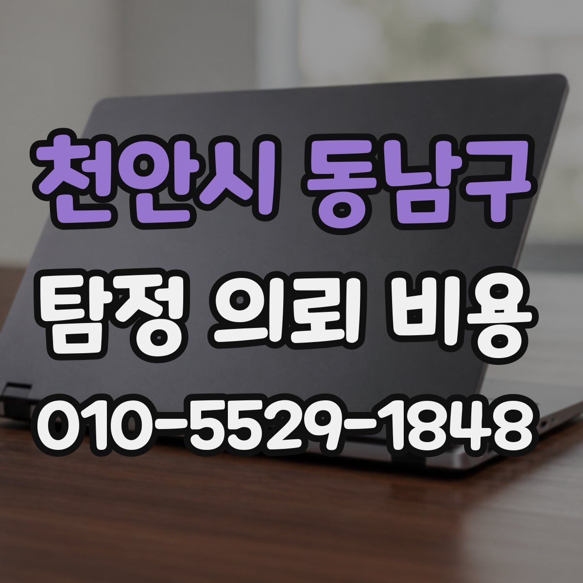 천안시 동남구 탐정 의뢰 비용