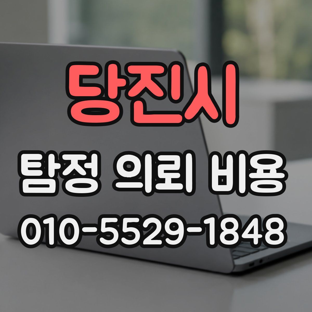 당진시 탐정 의뢰 비용