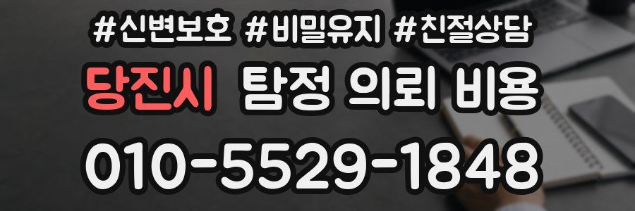 당진시 탐정 의뢰 비용