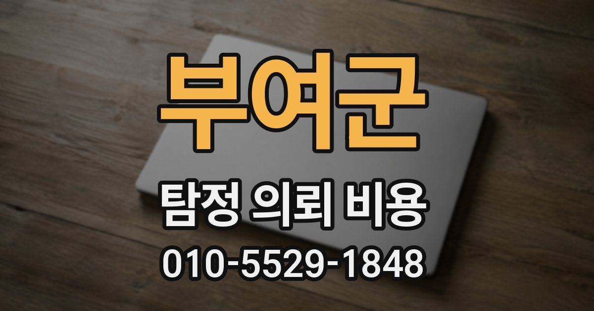 부여군 탐정 의뢰 비용
