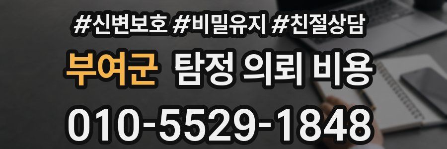 부여군 탐정 의뢰 비용