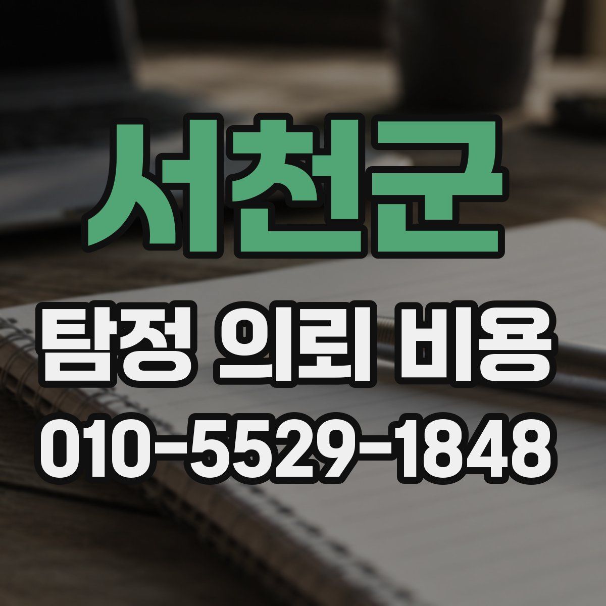 서천군 탐정 의뢰 비용