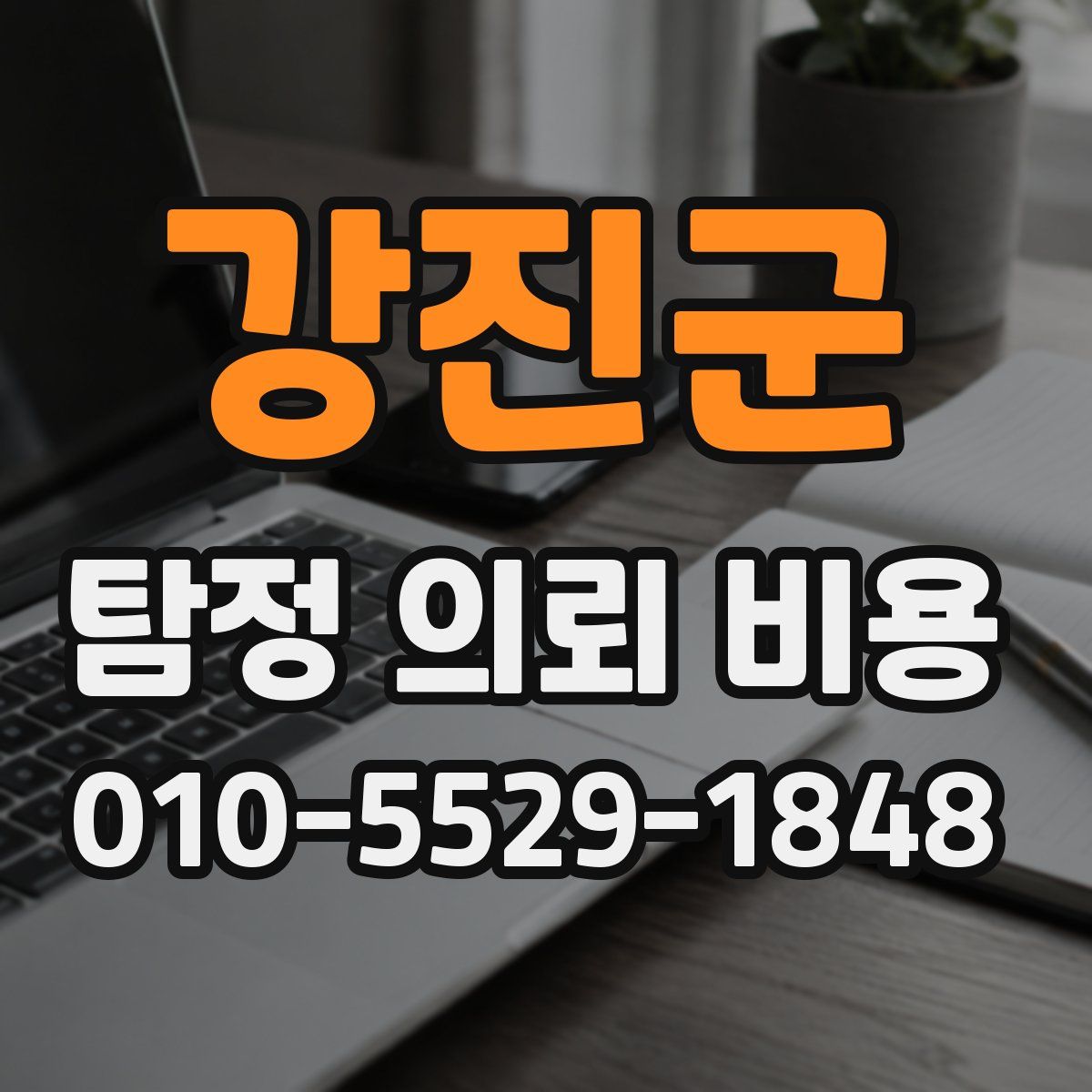 강진군 탐정 의뢰 비용