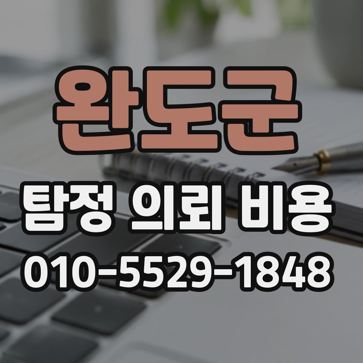 완도군 탐정 의뢰 비용