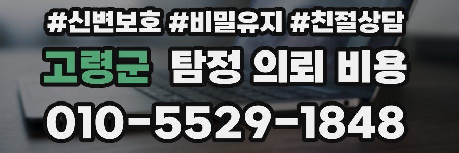 고령군 탐정 의뢰 비용