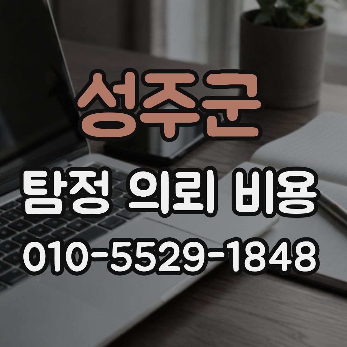 성주군 탐정 의뢰 비용