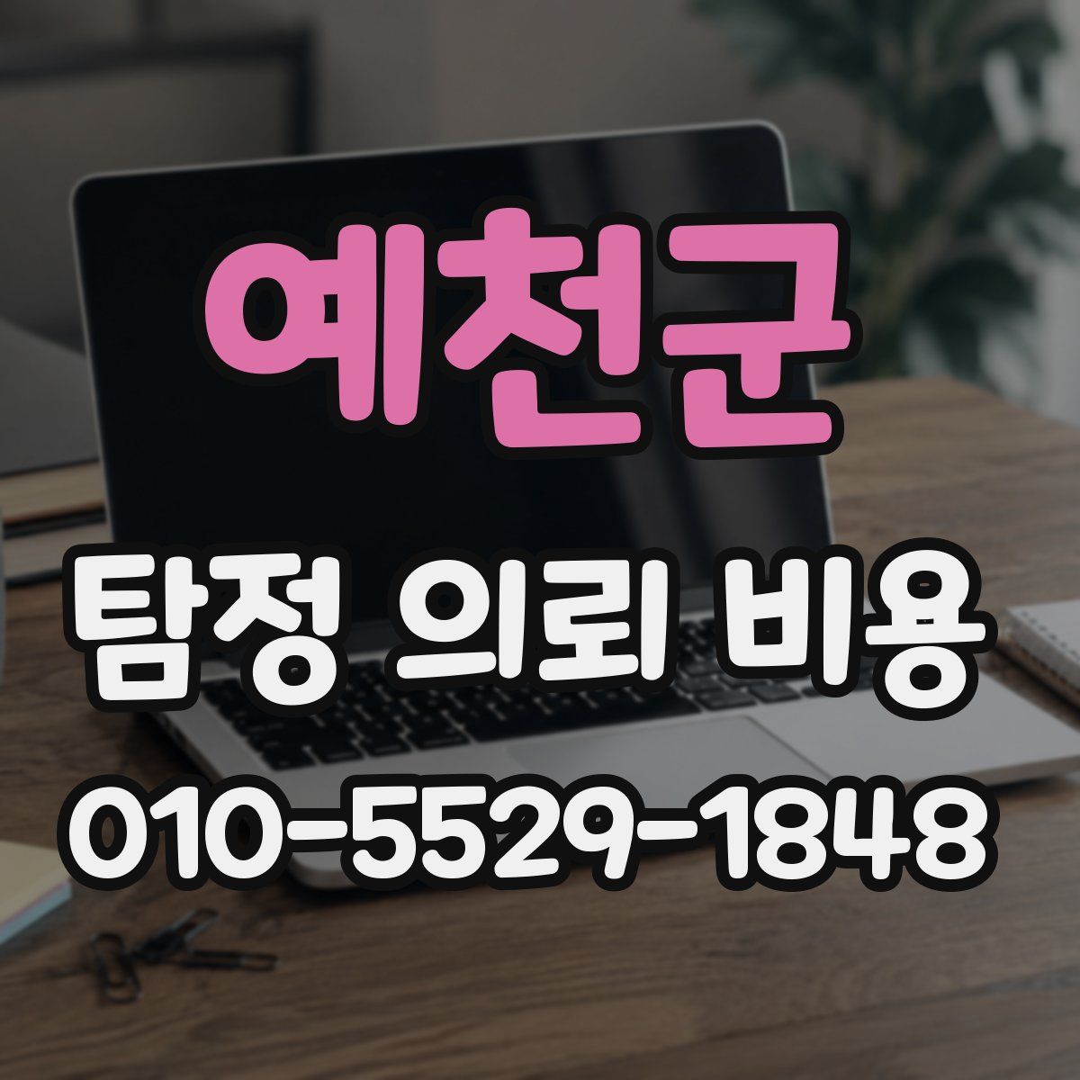 예천군 탐정 의뢰 비용