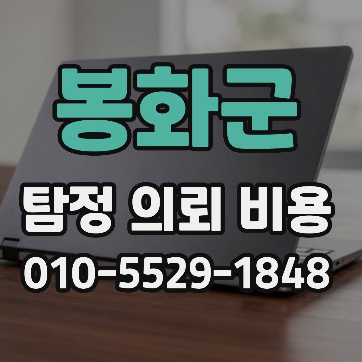 봉화군 탐정 의뢰 비용