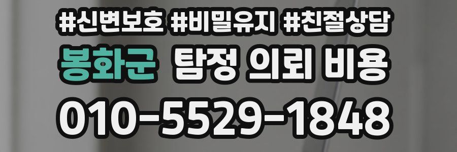 봉화군 탐정 의뢰 비용