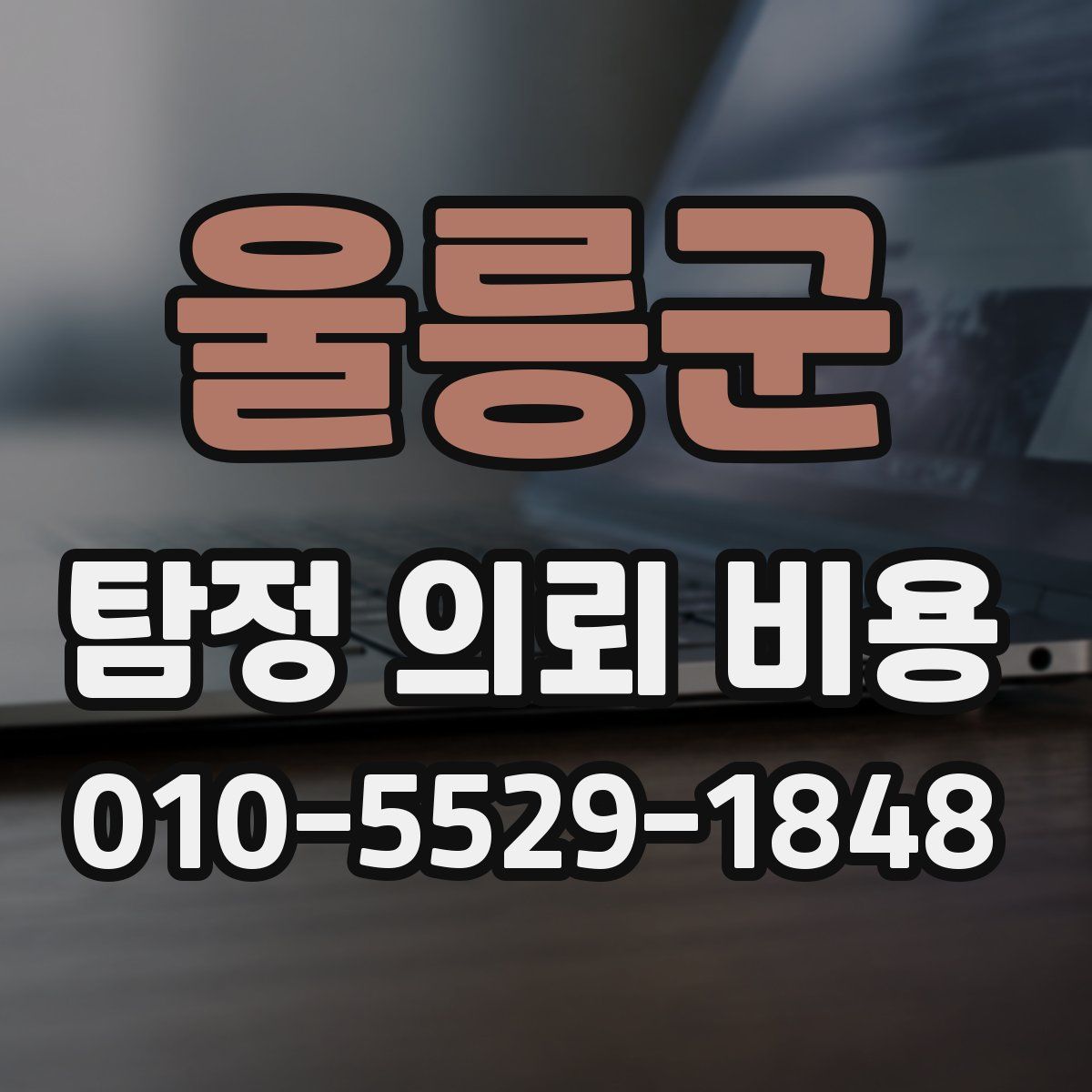 울릉군 탐정 의뢰 비용