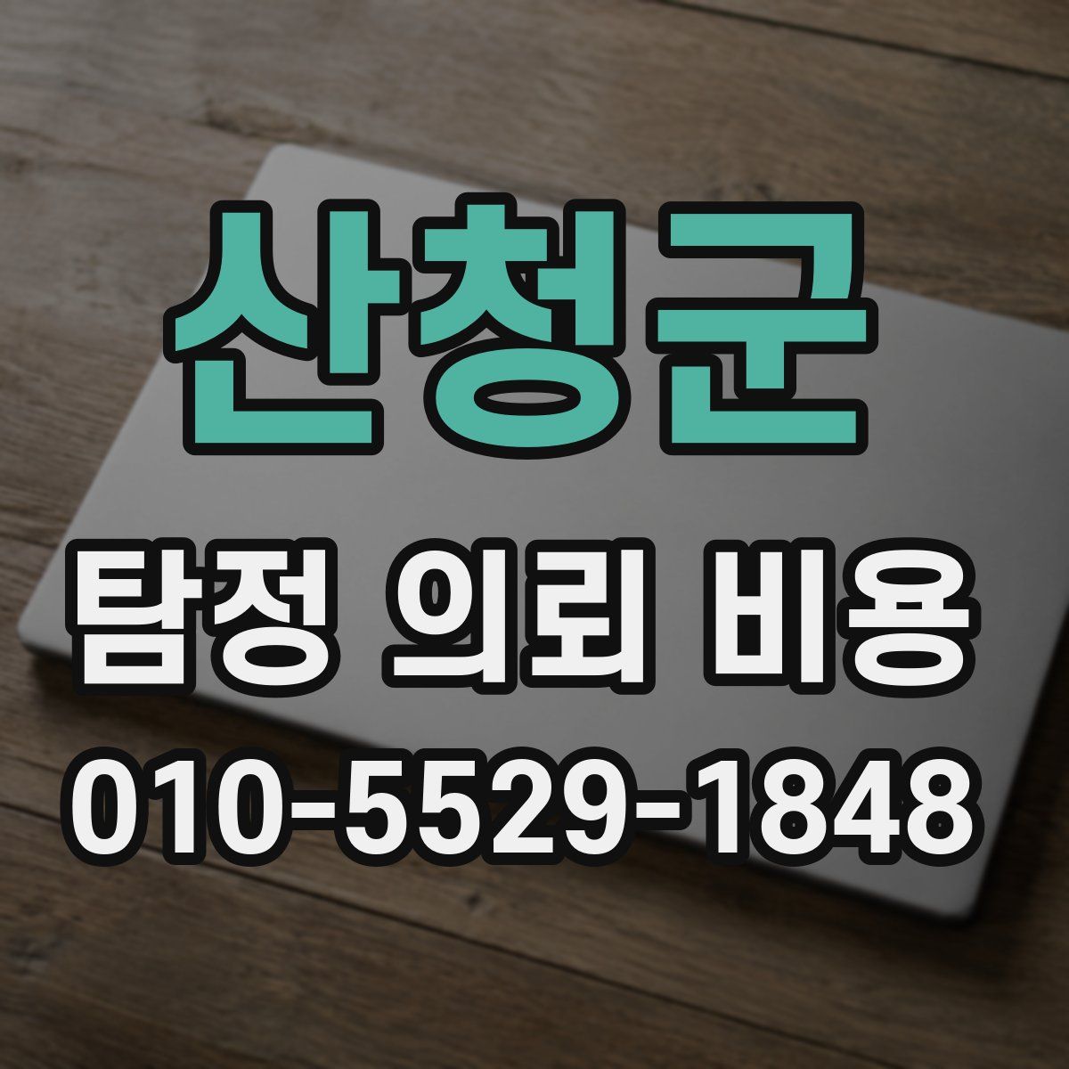 산청군 탐정 의뢰 비용