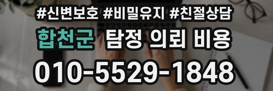 합천군 탐정 의뢰 비용