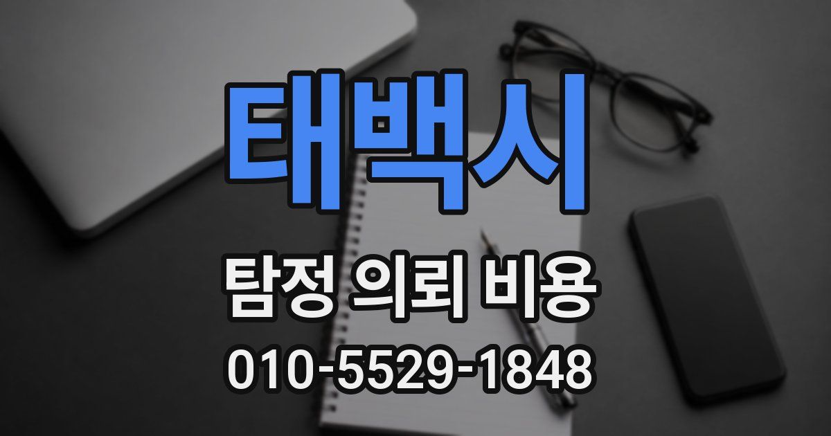 태백시 탐정 의뢰 비용