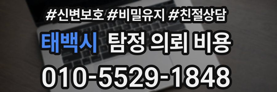 태백시 탐정 의뢰 비용