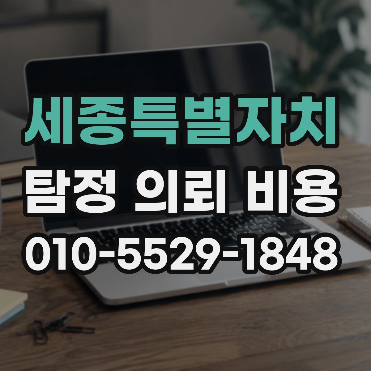 세종특별자치 탐정 의뢰 비용