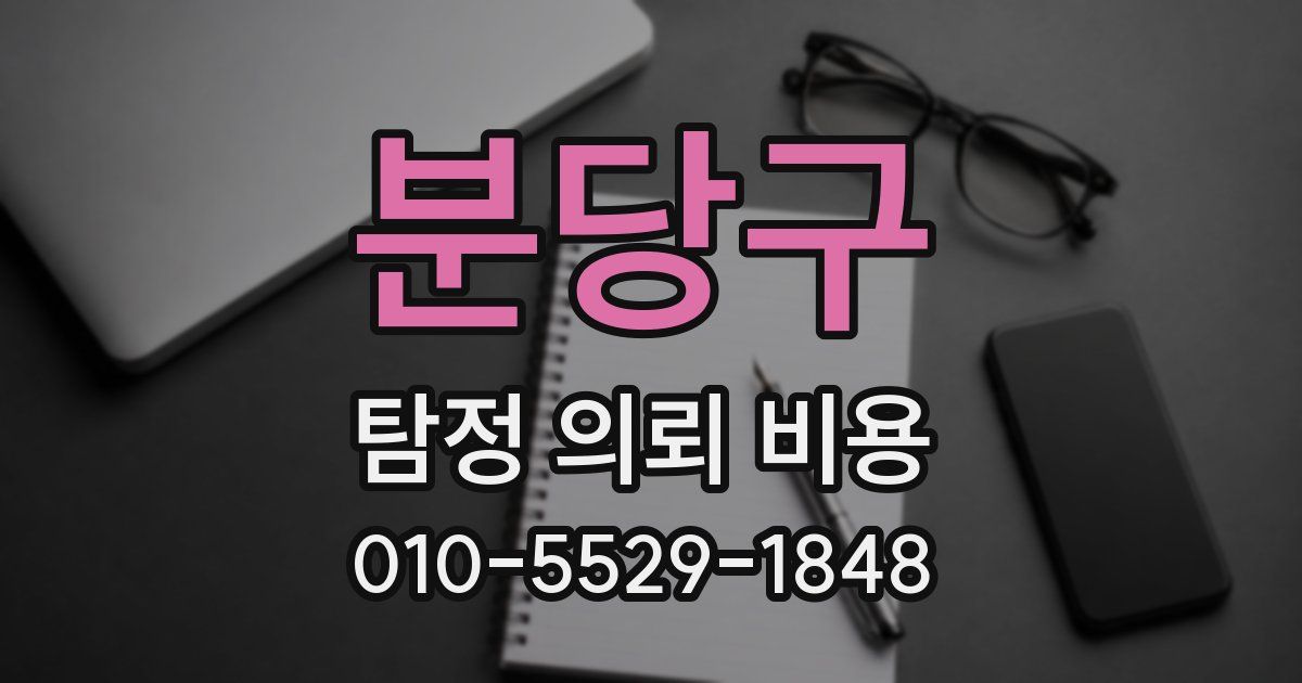 분당구 탐정 의뢰 비용